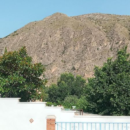 Recovery Mountain Homestay Alicante Eksteriør bilde