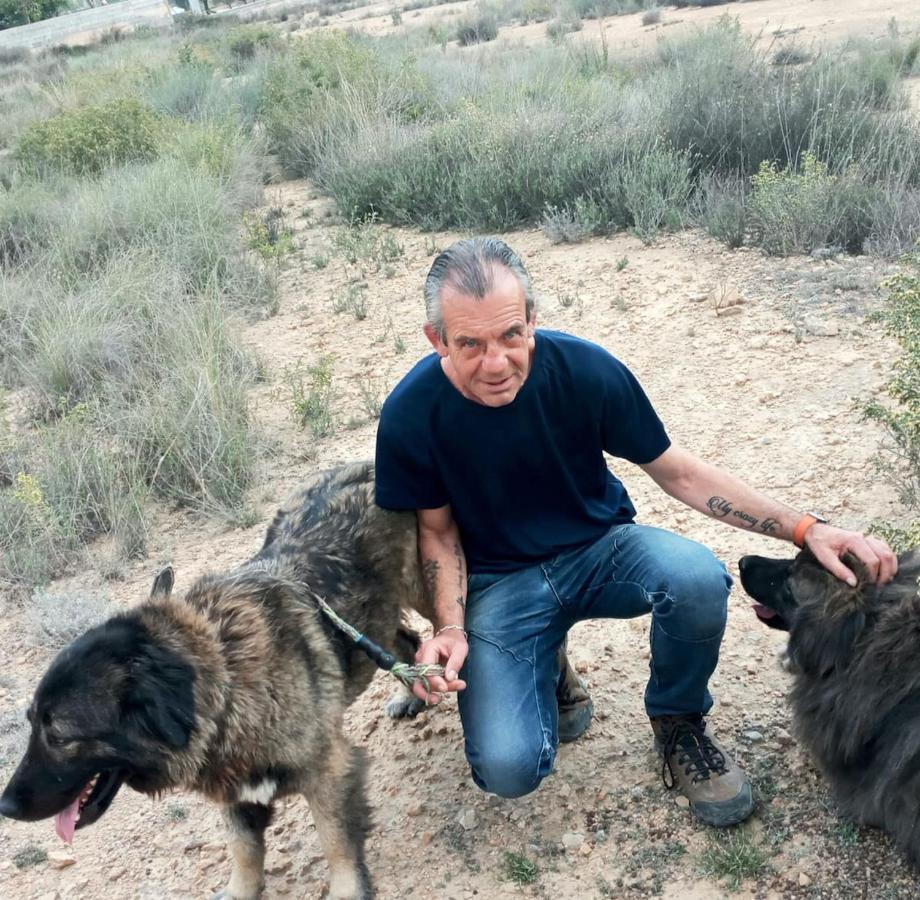 Recovery Mountain Homestay Alicante Eksteriør bilde