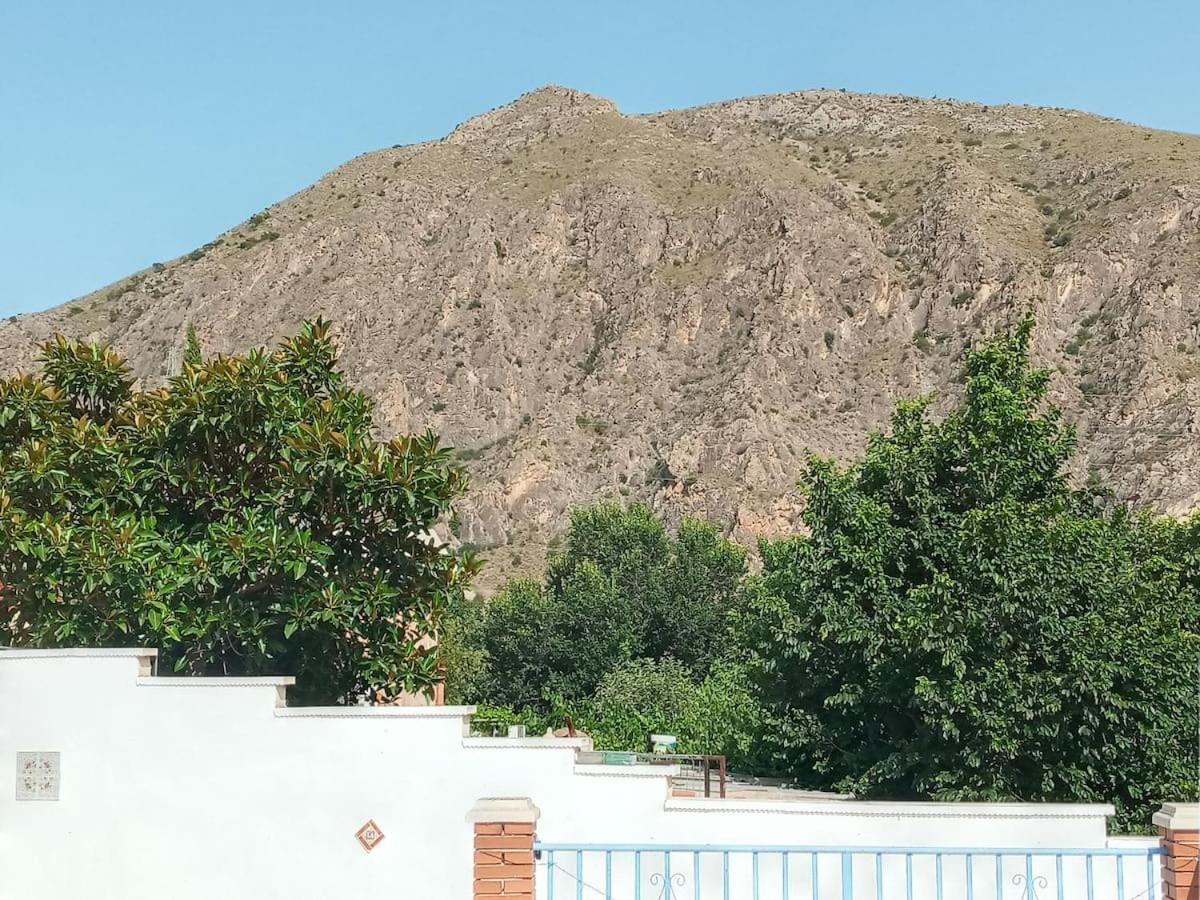 Recovery Mountain Homestay Alicante Eksteriør bilde